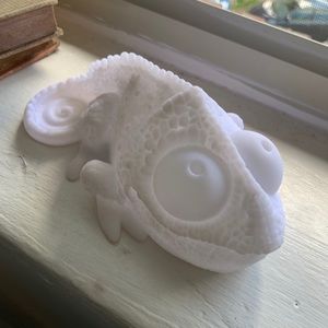 Color Changing Chameleon Light